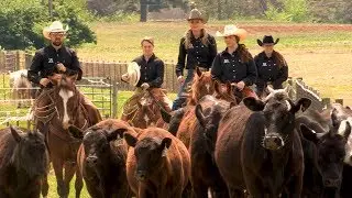 University of Arkansas Ranch Horse Team