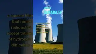 NEWS| Fukushima Nuclear Plant Releases Wastewater Into Pacific Ocean #nature #fukushima #nuclear