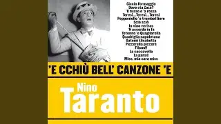 Ciccio Formaggio
