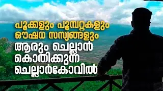 ആരും ചെല്ലാൻ കൊതിക്കുന്ന ചെല്ലാർകോവിൽ | #ecotourism #chellarkovil
