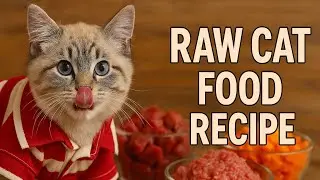 Homemade Raw Cat Food Recipe 🐾 Healthy & Easy Meal for Cats