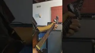 Fender engager vs Wailer wah