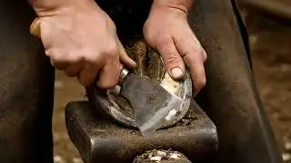 ✨ Quick hoof check before ride for beginners 💧 #YouTubeShorts #PastureSmart #YouTubeShorts