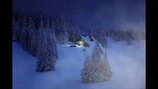 🐺 🌙👻 SNOW FOREST AT NIGHT  l Wolves Howl, Cricket l Relax Study Sleep De-Stress 🎧 100% RELAX