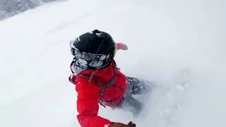The 2024 Ark Snowboard  |  Winterstick Snowboards
