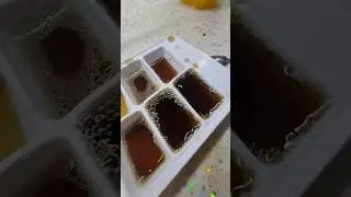evde. meybuz  vvee. d&ouml;k&uuml;ld&uuml;