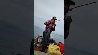 Memancing ikan senangin