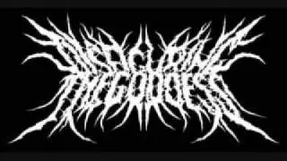 Dissfiguring the goddess