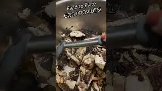 From Field to Plate: Cream of Mushroom Soup