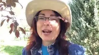 Introducing Joyful Gardening!