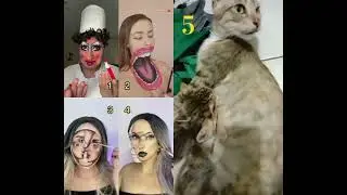 #facecamstreamer