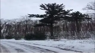Oak View Dr, Town of Washington, Lot 9 Shawano WI 54166