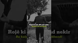 Şahe Bedo - Zewaca Be Dıl#k&uuml;rt&ccedil;e #k&uuml;rt&ccedil;em&uuml;zik #şahebedo #m&uuml;zik #fypviral #viralmusic #abone #aboneol
