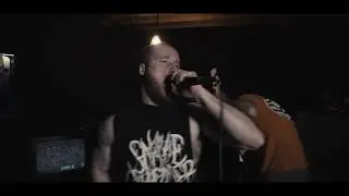 Bone Hive - Weak Willed