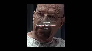 Walter White - 