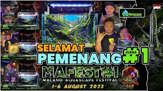 Pemenang Juara 1 mafes#1 malang aquascape festival 2023. #aquascape #aquascapeindonesia