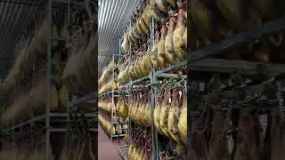 These are the 4 Phases in the Jam&oacute;n Ib&eacute;rico curing process! Did you know all of them?
