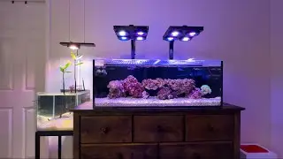 Why smaller tanks are better than larger ones