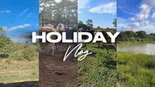 Spend two days on the farm with me.