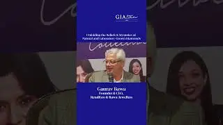 GIA Alumni Collective: Panel Discussion at Delhi Chapter Meet & Greet