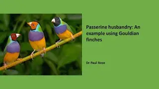 A passerine practical: Gouldian finch husbandry, behaviour and conservation