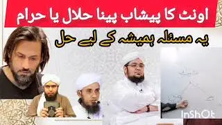 Oont Ka Peshab Peena Halal? Sahil Adeem, mufti tariq , Engineer Mirza Par Tajziya | Sahih Bukhari