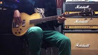 Washburn B200 Japan 1989