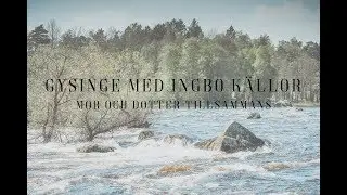 Gysinge bruk och Ingbo k&auml;llor