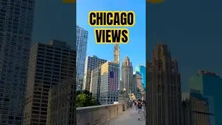 Chicago Views | Downtown | USA 🇺🇸 #shumailaziz#viralshorts#travel#chicago#city#lake#pakistani