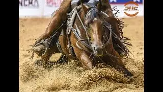 OPEN CLASSIC FINALS HIGHLIGHTS NCHA SUMMER SPECTACULAR 2017