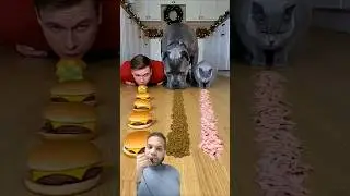 #funny #americanbully #pitbull #pets #animals #dogs #food #challenge