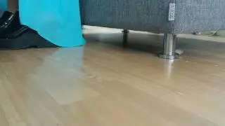 Stikbot and horse