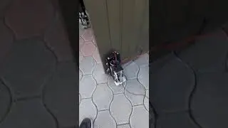 Rolling swing gate installation