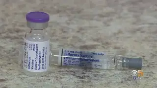 Flu Shots Hard To Find In Bay Area Amid Concerns Of Possible Severe Flu Season