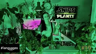 Snips with Plants #19 by Planty Snips (Progressive House & Melodic Techno DJ Mix) [languages music]