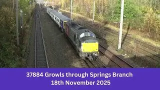 37884 Growls through Springs Branch - 18th November 2025