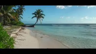 Beautiful  Vocal Trance Music - January 2017 (Music Video)
