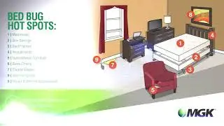 Bed bugs bleeding your bottom line? Find better solutions with MGK.