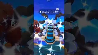 🔥ОХОТНИКИ, ШАЙНИ ХЭТЧ И ПРОВЕРКА ОБУВИ?!😱 Pok&eacute;mon GO! #pokemon #pokemongolive #shinypokemon