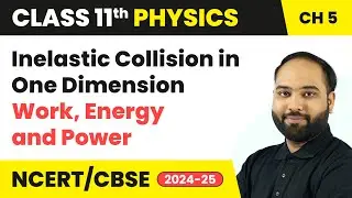 Inelastic Collision in One Dimension - Work, Energy and Power | Class 11 Physics Ch 5 | CBSE 2025-26