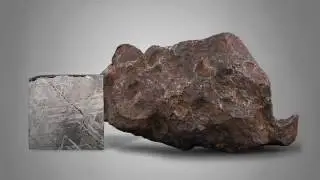 Gibeon Meteorite and Slab | M.S. Rau