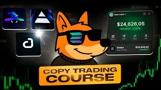 How to Start Copy Trading Profitable Wallets &ndash; Complete Course!