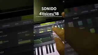 Korg M1 tarjetas