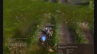 Aiononline short gameplay