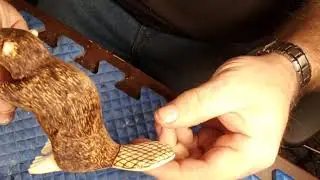 Beaver done power carving, dremel,whittling