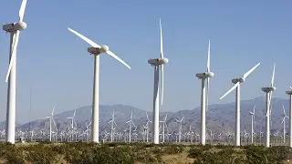 Richard Heinberg: Our Renewable Future