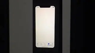 Real Estate app in Flutter