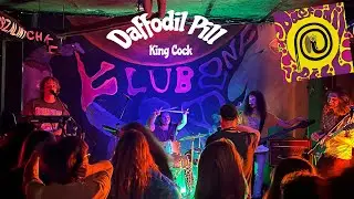 Get Ready to DISCOVER 🎶 🎸 🎹 Daffodil Pill 
