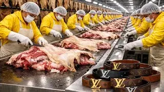 Inside  A HUGE Cow Leather Factory: From Cow Leather To LUXURY Belt!