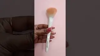 wet&wild blush brush #wetnwild #shorts #youtubeshorts
